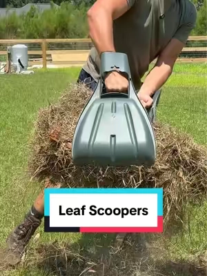 A yard clean up must have! #leafscoops #yard 
