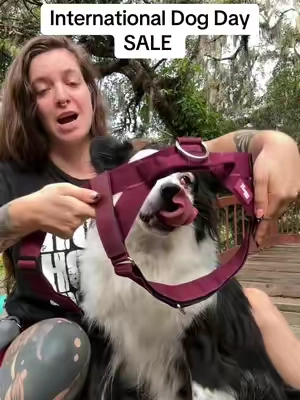 The best no pull harnesses! #dfcosale #dogharness #dogmom 
