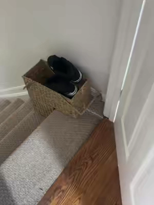 Everybody has a basket! #stairbasket #qvcfinds #basketforstairs #homeorganization #tiktokmademebuyIt 
