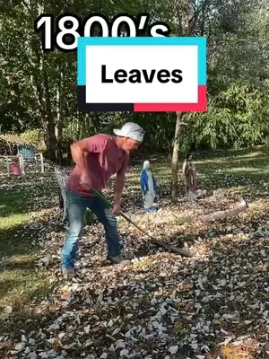 Raking leaves is so 1900s #Vevor #Lawn #Sweeper #Leaves #Fall