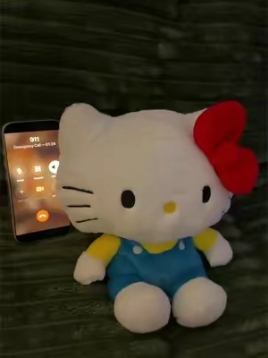 @Warmies  #warmies #hellokitty #fypシ゚viral 