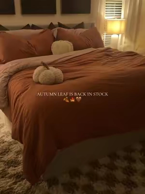 FINALLY!!! Has been sold out for soooo long!! 
#fallbedding #cozybedding 