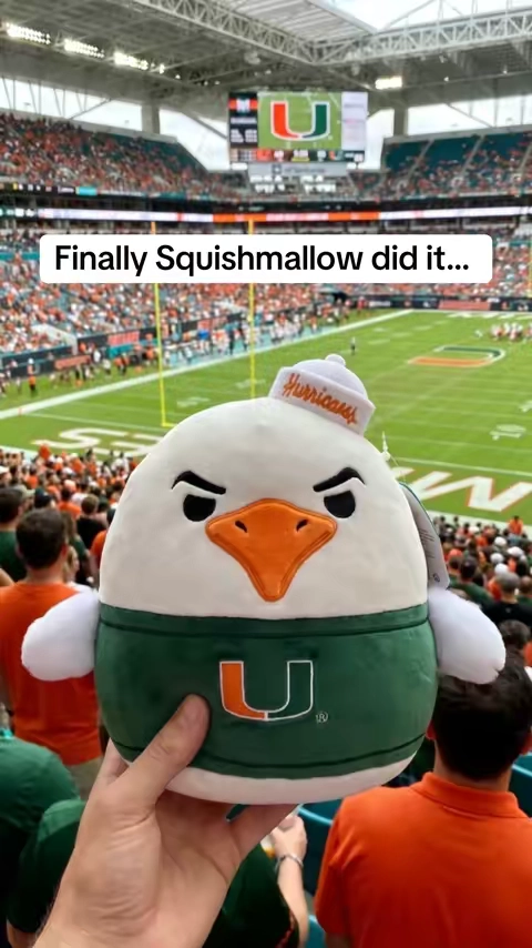 #CollegeFootball #collegegear #squishmallow 
