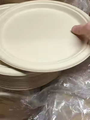 #KaratEarth #CompostablePlates #PartySupplies #Catering #TikTokShopFinds