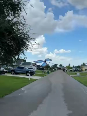 Mariposa voladora de tamaño gigante #rc #drone #mariposa #niños #juguetes 