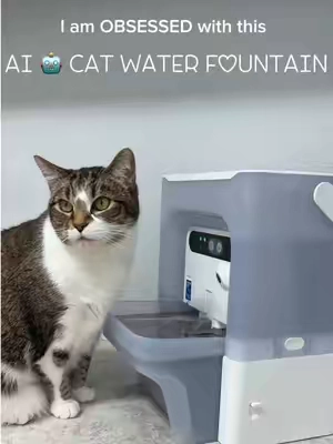 I don’t think it can get any better than this!!! 😍🙌 I love nothing more than being able to monitor my cats health, watch them while I’m away from home, and just being able to know they getting appropriate amounts of water. 🐈  #catfountain #cathealth #catowner #catwaterfountain #catmomlife 