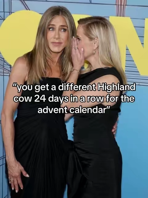 7686704085273283853