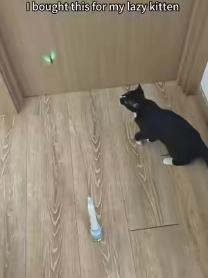 #catmom #cattoys #catsoftiktok #tiktokmademebuyit #catlover 