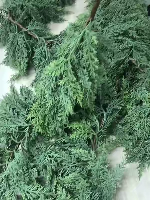 Buying my cedar garland early this year 🎄 #ChristmasDecor #CedarGarland #ChristmasGarland #StaircaseDecor #HolidayDecor   