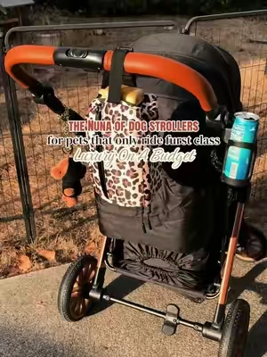 The only way my dogs ride😝 #dogstroller #dogsoftiktok #luxurydog #dogmomsoftiktok #tiktokshopcreatorpicks 