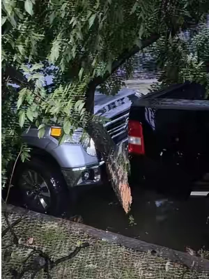 Un árbol destruyó la troca de mi amigo #fanttik #dashcam #accidentedeauto #caraccident 
