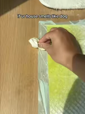 Who else’s house always smells like dog pee no matter how much you clean? 🤢 #PetOdorRemover #DogMomLife #HomeCleaningHacks #PetEssentials 