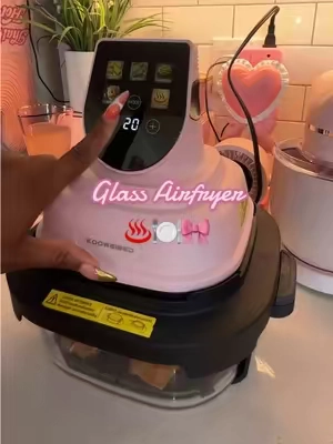 Because I like to wait until the last minute to eat I pulled out the air fryer to get my food done fast♨️🍽️💕 #airfryer #glassairfryer #airfryertiktok #pinkkitchen #kitchenappliance 