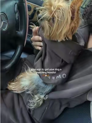 she’s wearing an xs and she’s 5lbs! 🤎✨ #comfrt #doghoodie #yorkie #tiktokshopblackfriday #tiktokshopcybermonday  