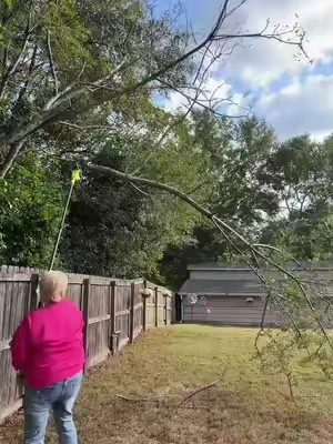#yardwork #polesaw #fallcleanup #treetrimmimg #tiktokshoprestock 