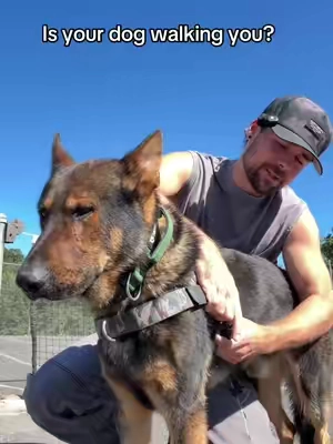 Our walks have never been easier #wearedogfriendlyco #pet #dog #DogTraining 