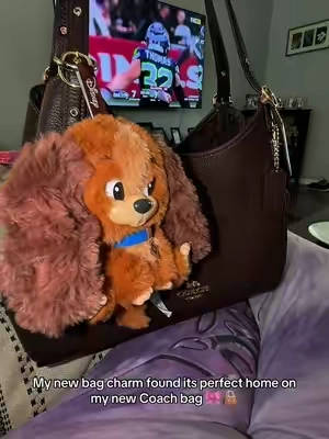 #blindbox #bagcharm 