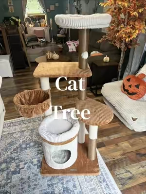 This is going to match perfectly with my fall decor ✨ #cattree #tiktokshopcreatorpicks 
