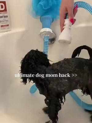 he was like really mom but bath time has never been easier 🤭 #dogessentials #dogmom #newpuppy #puppyessentials #dogmomsoftiktok 