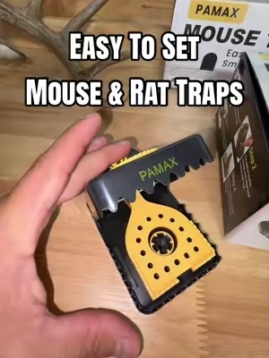 Easy to Set Mouse & Rat Traps