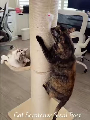 Upgrade your indoor cat essentials with this aesthetic tall scratching post! 🐈 Featuring durable sisal rope and a cozy resting spot, this sleek vertical scratcher actually matches your home decor. #catscratchingpost #catscratcher #catenrichment #catessentials #tiktokshopcreatorpicks 