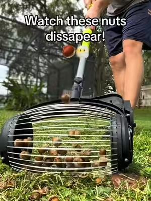 This nut collector by Seese is pure genius! #seese #tiktokshopstockup #fall 