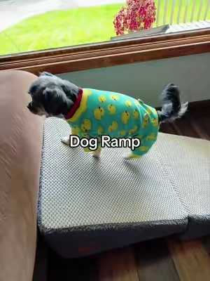 Little legs deserve an easier way up to the couch 🐾 This dog ramp is such a helpful option for small dogs, senior dogs, and pups who need a little extra help getting on and off the couch. I also love that it folds down into an ottoman when it’s not being used. @CheerPals  #dogramp #smalldog #petparent #seniordog #petmusthave 