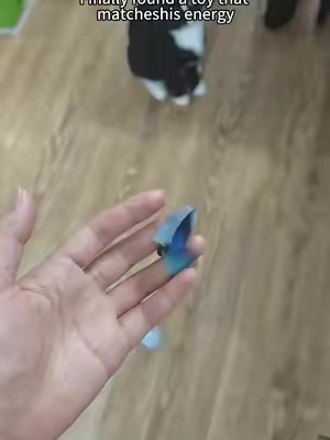 #catmom #catsoftiktok #catlover #cattoys #tiktokmademebuyit 