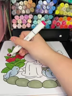#alcoholmarkers #shuttleart #markers #coloringtok #falldealsforyou 