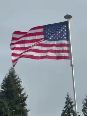 Made in the USA heavy duty American flag  #usa #flag #starsandstripes #oldglory #flags 