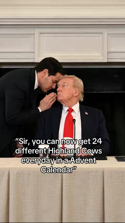 7689488676316777741