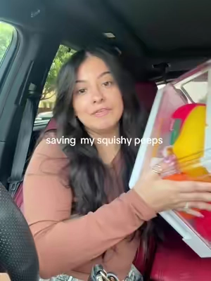 The squishy mom’s love this organizer and it saves the health of the squishy’s and keeps the dust off toy organization bin  #vtopmart #squishy 