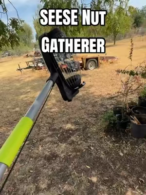 SEESE Pecan & Nut Gatherer