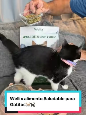 Respuesta a @albertcontreraspe7 Wellix alimento Saludable para Gatitos🐈🐈‍⬛ #wellixpetcare #wellix #catslovers #gatos #blackfriday 