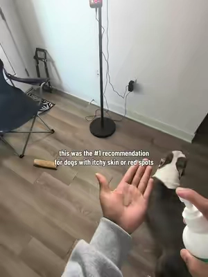 my dog is no longer biting and licking!