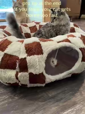 cat tunnels are the BEST 🐈‍⬛ 🐟 🐈 #cattoys #cattunnel #catbeds #catenrichment #mainecoons @Lesure Pet @Lesure Pet 