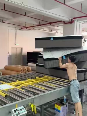 12/14 Inch Gel Memory Foam Mattress Hybrid Pocket Spring Twin Full Queen King Bed Mattress In A Box, Euro Top Medium Firm For Back & Lumbar Support, Individual Pocket Spring Bed For Motion Isolation & Fiberglass Free sohochic #AuroraLeo #Mattress #tiktokshopstockup #TikTokShopFallDealsForYou #mattress #mattresses #mattresswholesale #sleepupgrade #bedroomupgrade #mattressfactory #mattressProduction