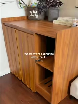 the most gorgeous & aesthetic way to hide the kitty litter box! I found this cat litterbox enclosure and it looks like a real aesthetic piece of furniture! 🐈‍⬛🖤 #catlitterboxenclosure  #litterboxenclosure  #litterboxhack  #catmoms  #TikTokShopFallDealsForYou