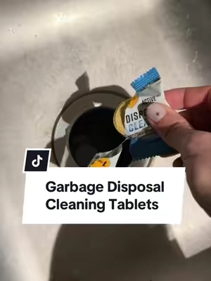No more fruit flies or sink odors!  #garbagedisposal #kitchencleaning #sinkcleaning #cleaninghacks #sinkcleaningasmr 