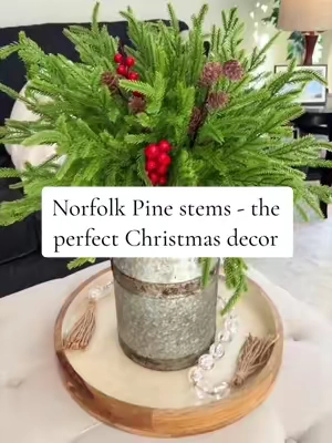 Norfolk Pine stems create those simple, but impactful Christmas decor statements. LOVE these. #christmasdecor #christmasgreenery #pinestems #affordablechristmasdecor #tiktokshopcreatorpicks 