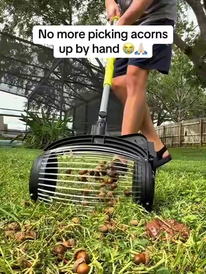 Finally, no more picking nuts up by hand every fall 😭 #seese #fall 