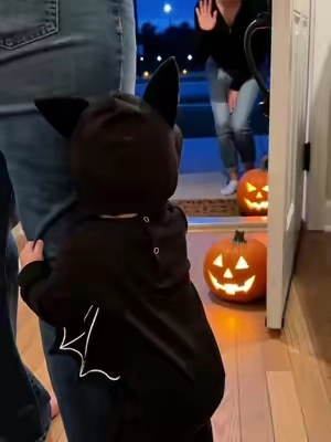 You’ll never get this October with your baby back 🎃🥺 #halloween #babygift #halloweenbaby #momtok #babybat 