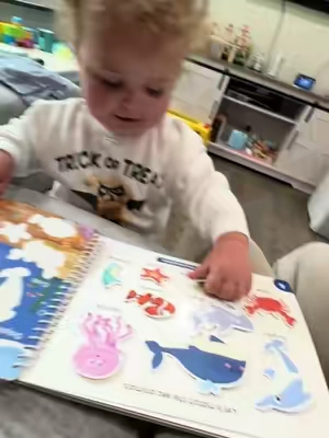 Montessori Busy Book #montessorilearning #montessoritoys #toddlerlearning #earlylearning #speechdevelopment 