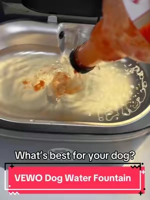 It’s time to make the switch, for your dogs sake! #dogwaterfountain #dogwater #tiktokshopcreatorpicks #dogparents #dogessentials 