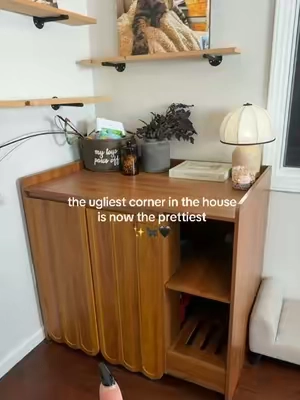this cat litterbox enclosure will transform the ugliest corner of your home. 🏡 ☺️ #catlitterboxenclosure #litterboxenclosure  #litterboxhack  #catmusthaves  #tiktokshopfalldealsforyou 