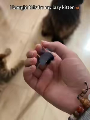 #tiktokmademebuyit #catmom #catsoftiktok #cattoys #catlover 