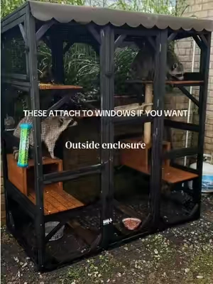 We needed a place for our coons 🦝 outside and this is perfect! #catio #enclosure #petcage #catparent #catcage 