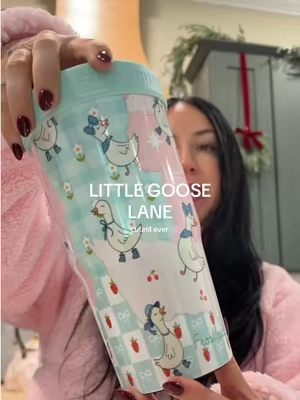 little goose lane ☁️🪿 @Frost Buddy 